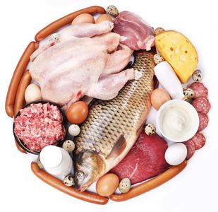proteinas肉类和奶制品产品在圈子的形式照片